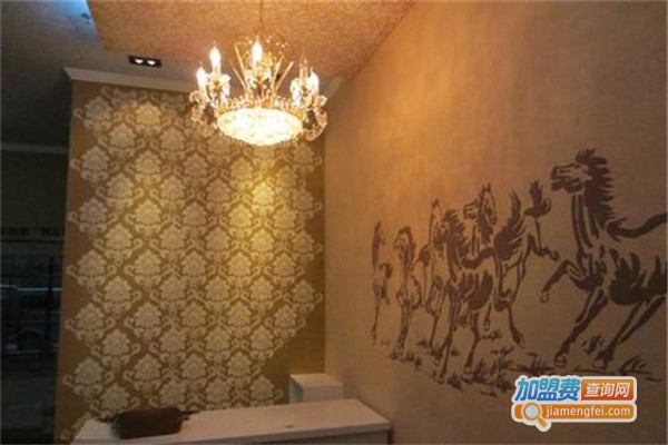 霍耳硅藻泥加盟