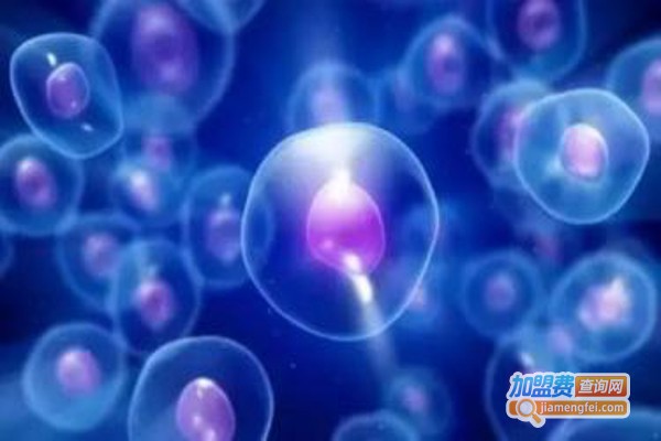 前沿大脑教育加盟费