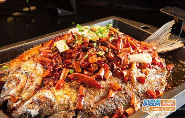 鱼跃在线烤鱼加盟费