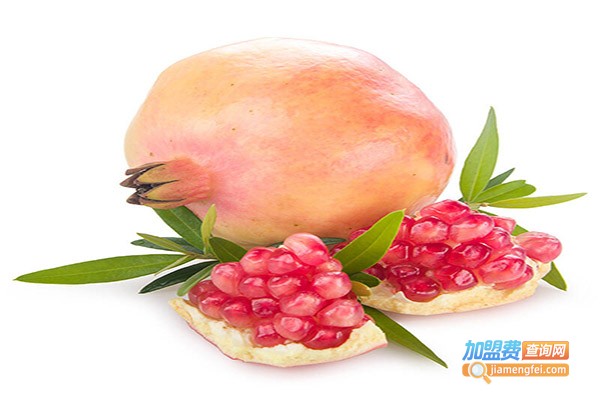 花果鲜加盟门店