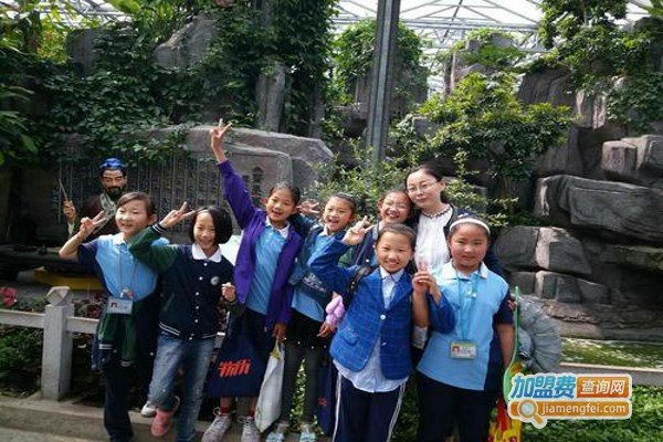 乐游乐学教育加盟费