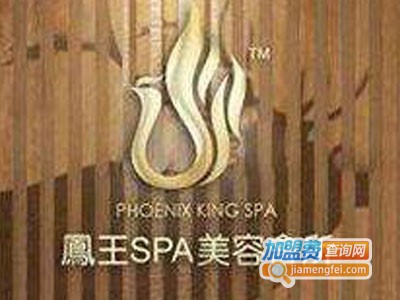 凤王SPA美容加盟费