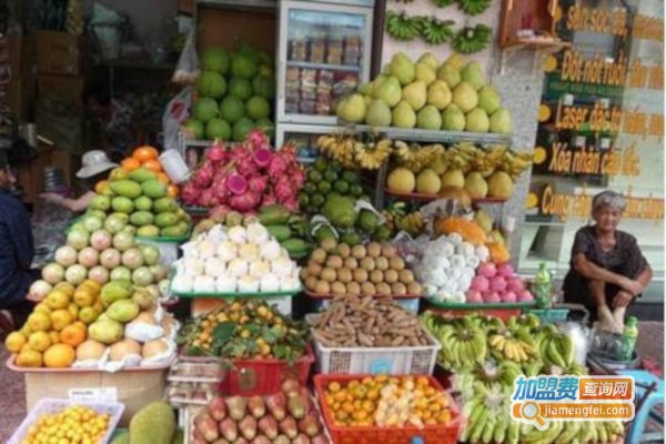 佳琪林梅蔬菜水果店加盟费