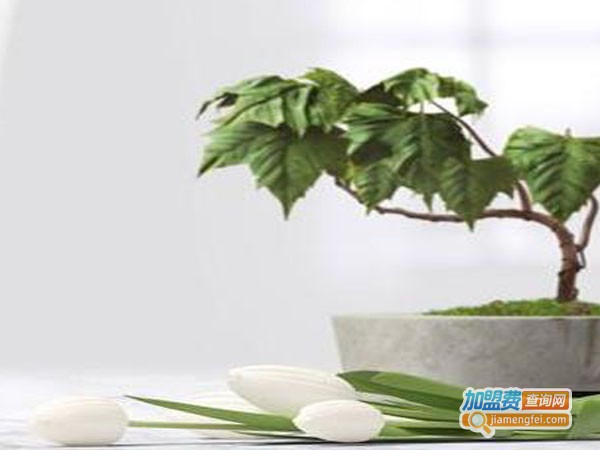 华诺致美祛斑祛痘