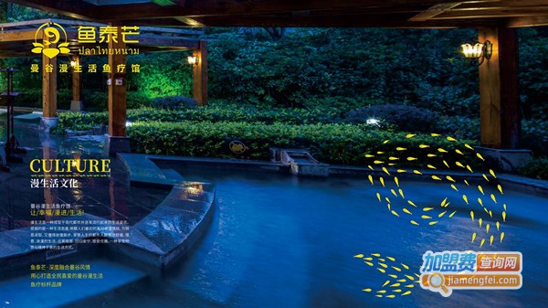 鱼泰芒鱼疗馆加盟费