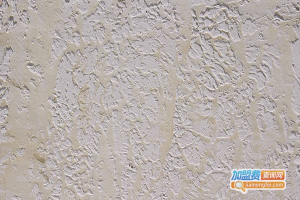 双鸽涂料加盟门店