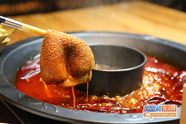 鲜煮艺特色火锅加盟费