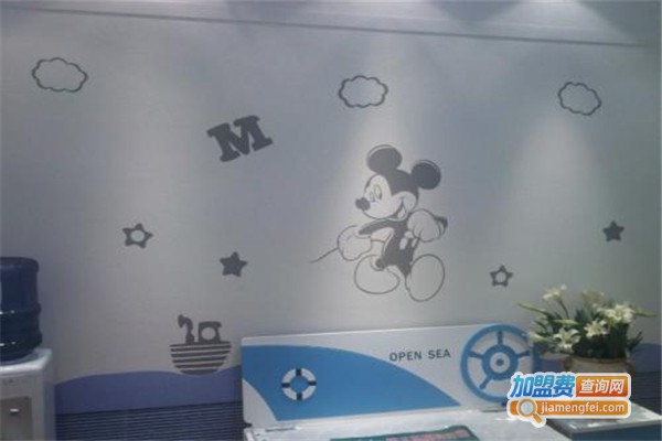 霍耳硅藻泥加盟费