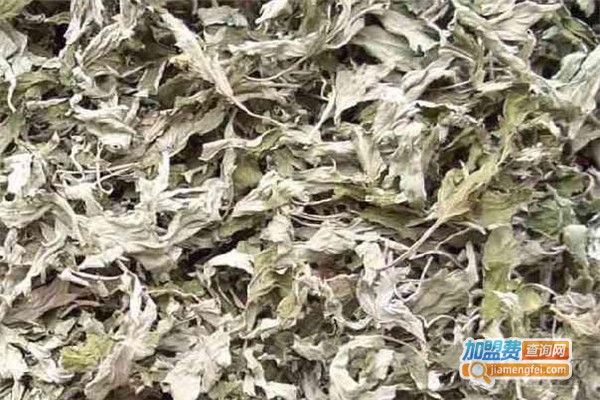 艾草药店加盟费