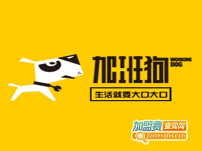 加班狗爆款美食外卖