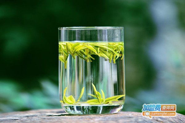 银叶牌安吉白茶加盟费