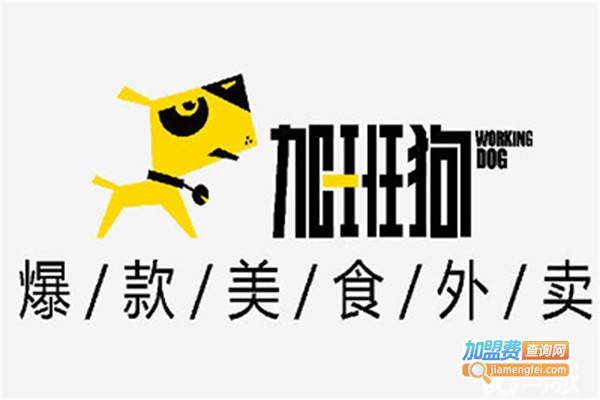 加班狗爆款美食外卖加盟
