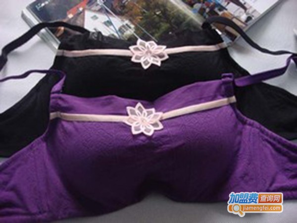 欧歌华内衣加盟费