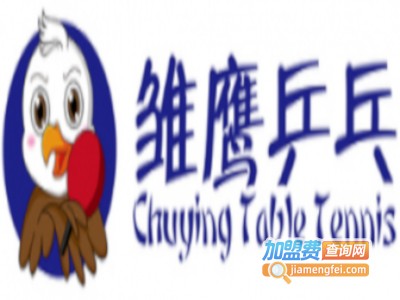 雏鹰乒乓球培训加盟费