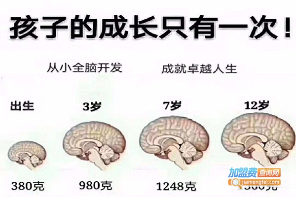 卓鼎教育加盟门店