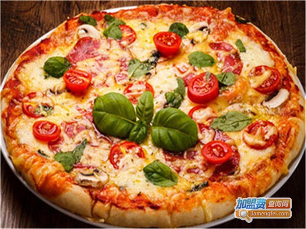 新站点披萨加盟费