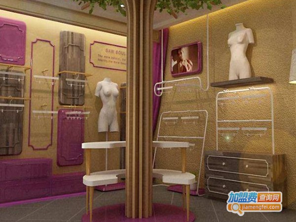 速塑内衣加盟费