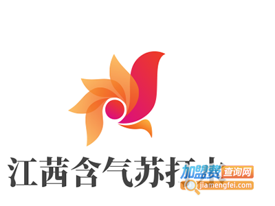 江茜含气苏打水加盟
