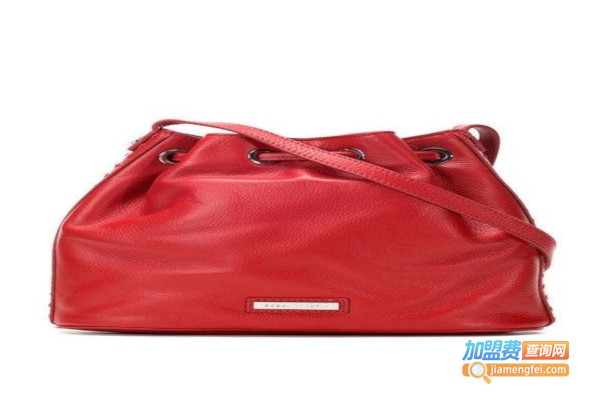 瑞雅轻奢品清洁护理加盟费