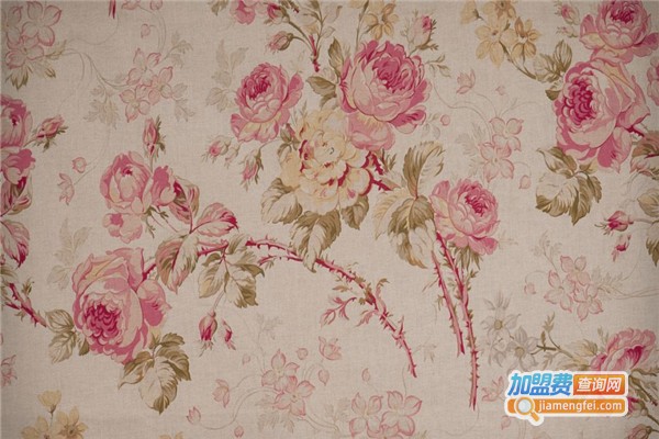 金美瑞液体壁纸加盟费