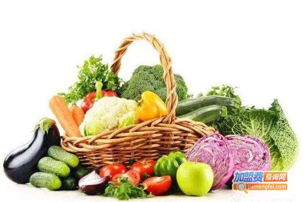 五洋果蔬制品加盟费