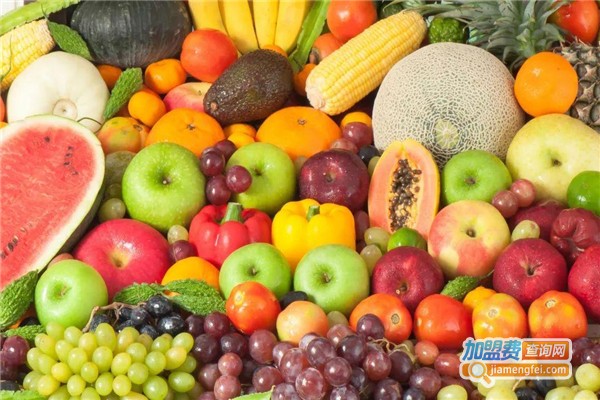 五洋果蔬制品加盟费