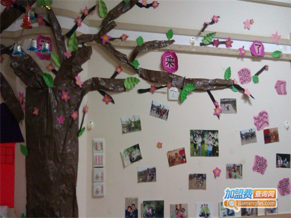 中华教育网校加盟费