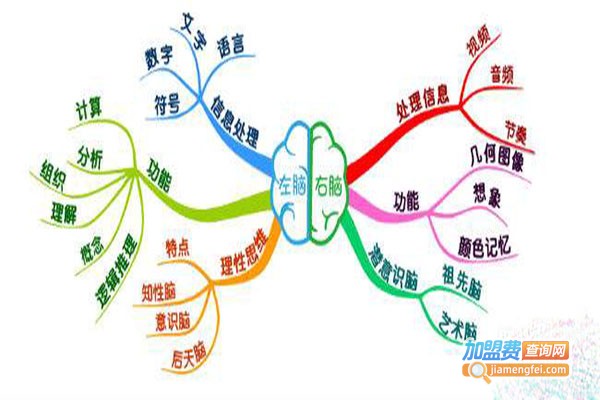 卓忆右脑加盟门店