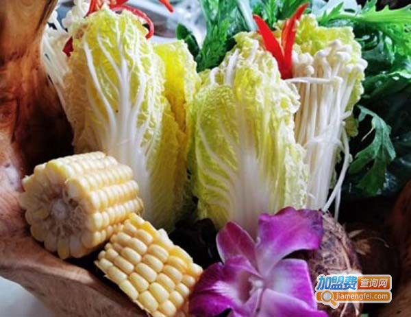 汤伯府骨汤猪肚鸡加盟