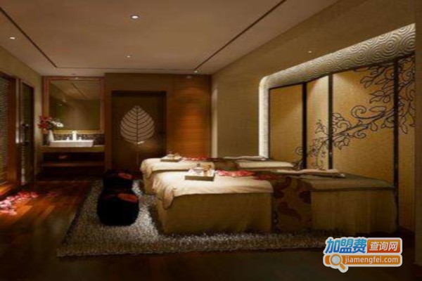 凤王美容养生馆加盟费