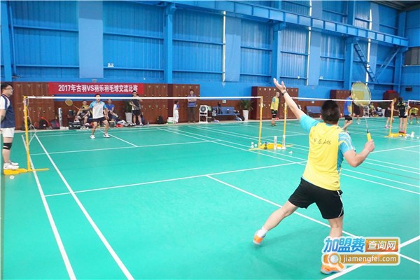 羽乐羽毛球培训加盟费