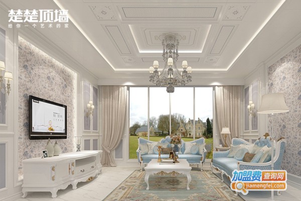 楚楚顶墙加盟店