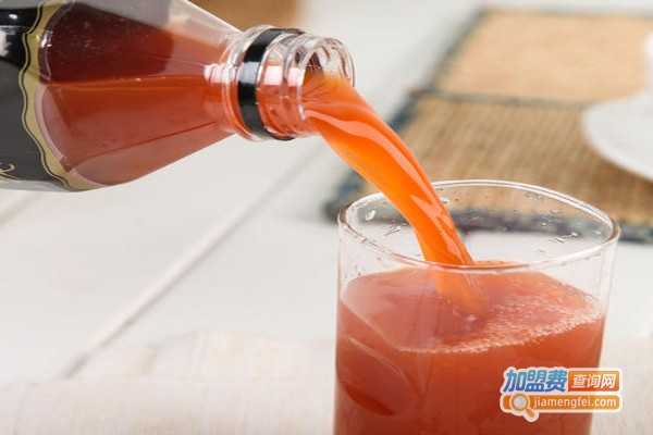 如梦果汁加盟费