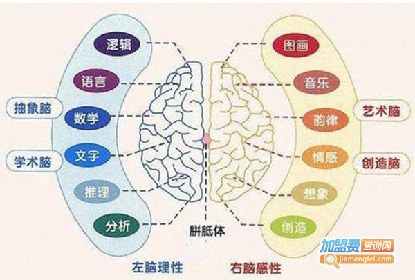 王牌右脑开发加盟