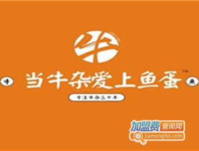 当牛杂爱上鱼蛋