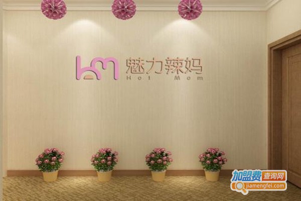 魅力辣妈国际月子会所加盟费