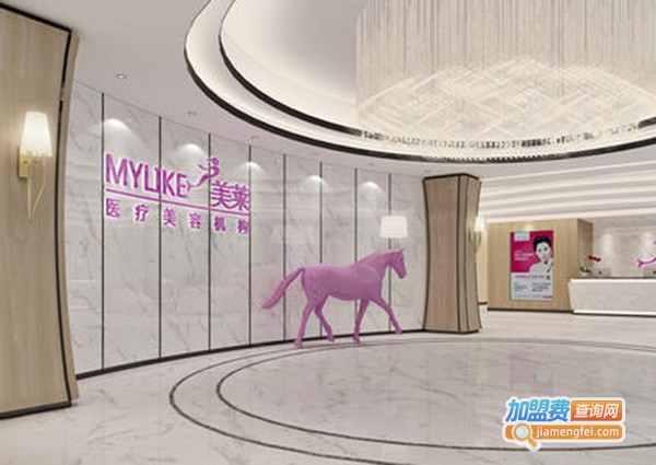 美莱医学美容医院加盟费