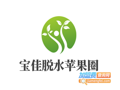 宝佳脱水苹果圈加盟费