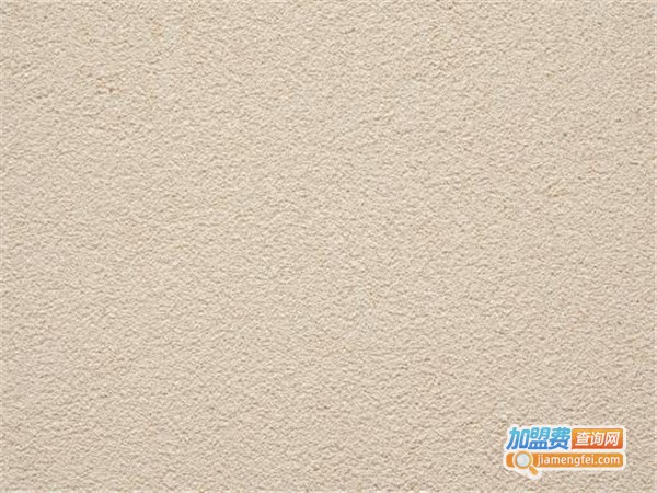 能银涂料加盟费