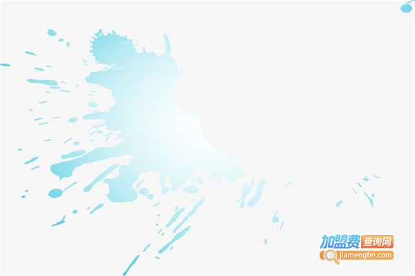 靓的艺术涂料加盟费