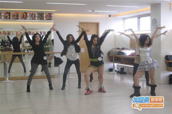 瑞丽舞蹈加盟费