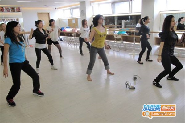 瑞丽舞蹈加盟费