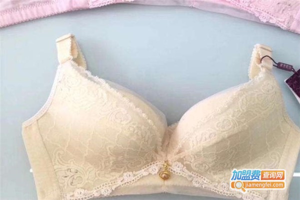 莱澳妮丝内衣加盟费