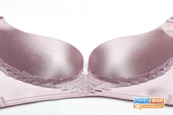 黄金蜜桃内衣加盟费