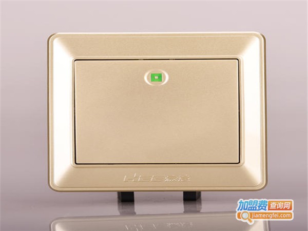 豪意开关加盟费