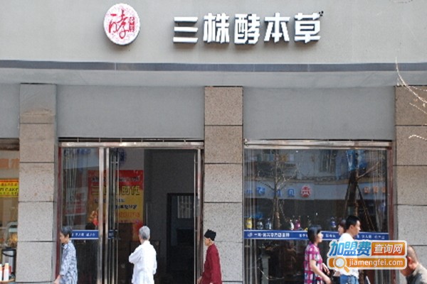 三株酵本草加盟店