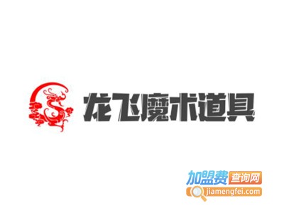 龙飞魔术道具