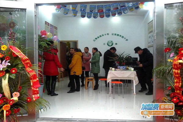 三株酵本草加盟费