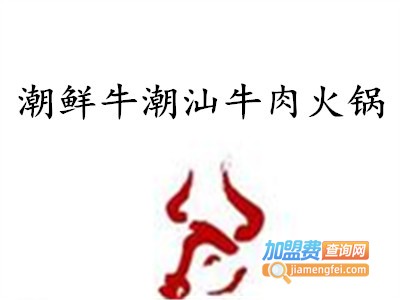 潮鲜牛潮汕牛肉火锅