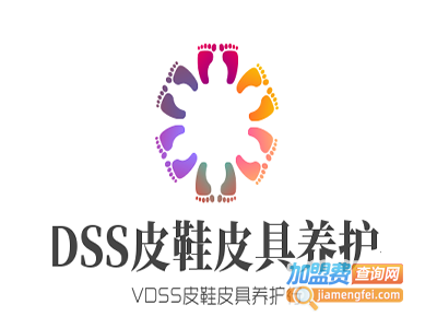 VDSS皮鞋皮具养护行